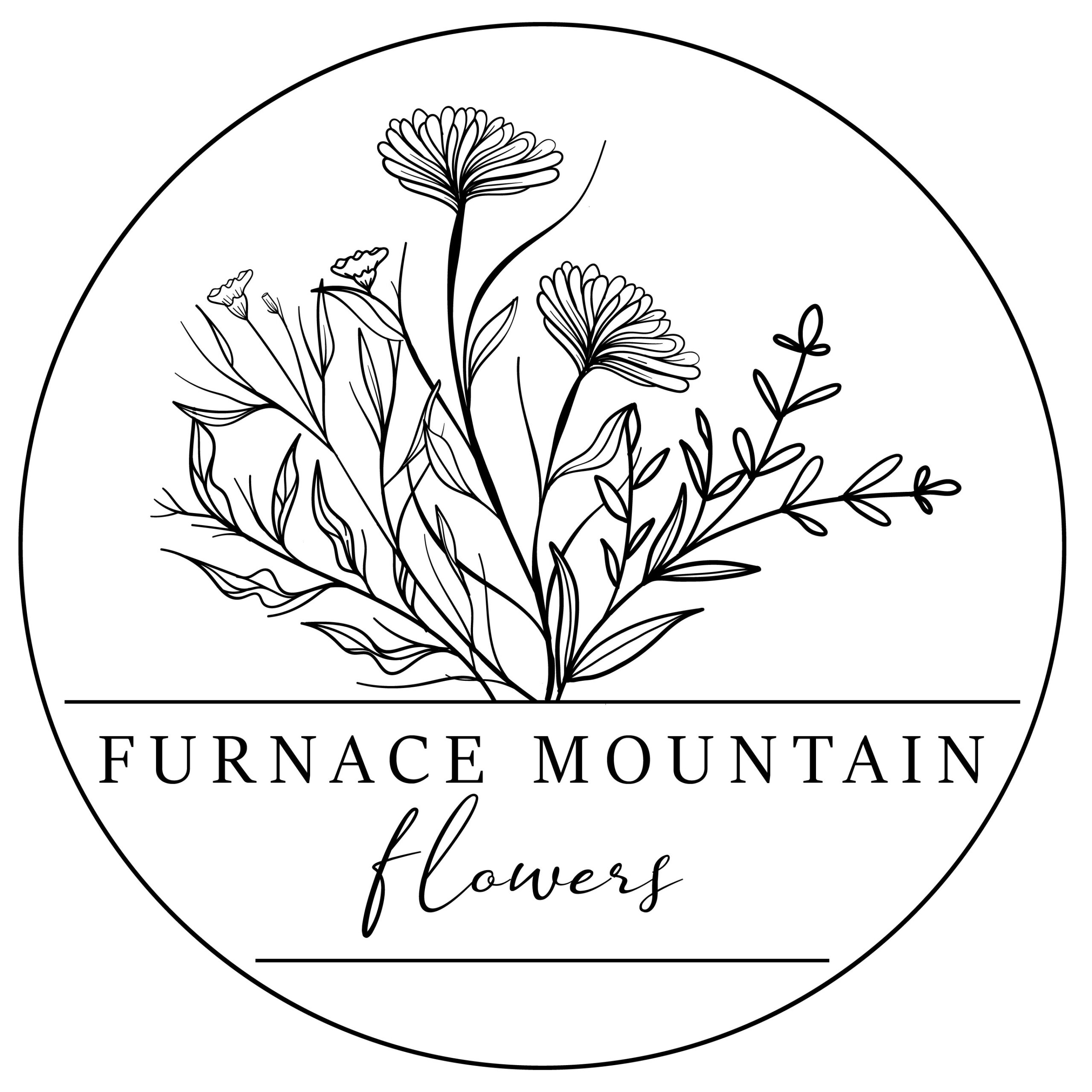 Furnace Mountain Flowers