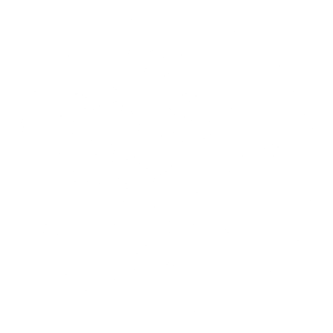 Furnace Mountain Flowers